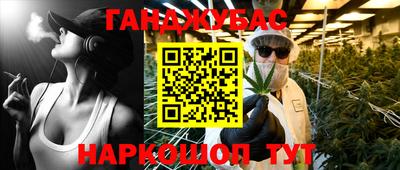 гидропоника Можга