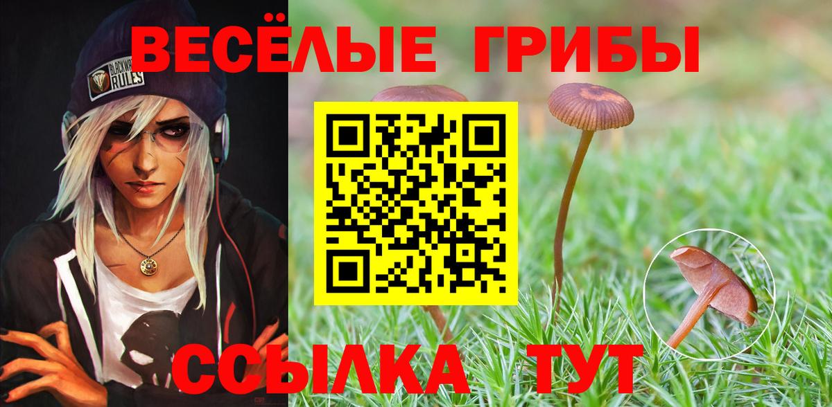 Псилоцибиновые грибы MAGIC MUSHROOMS  Вход с VPN  Чусовой 